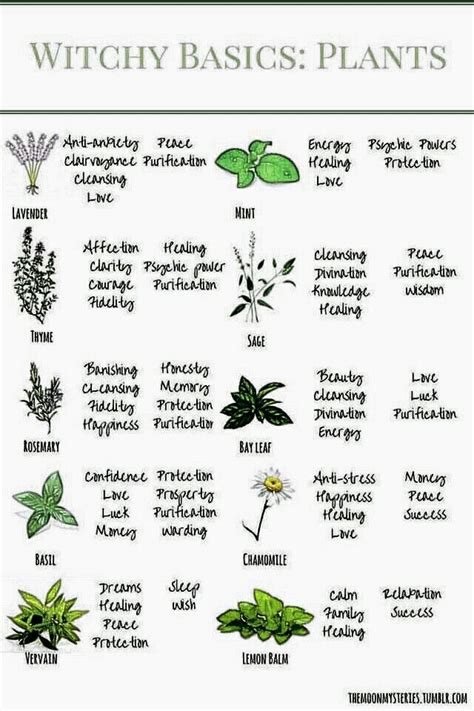 Herb based witchcraft symbols